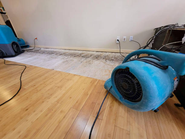 Professional Ceiling Water Damage Repair technician working in Mount Hope, WV